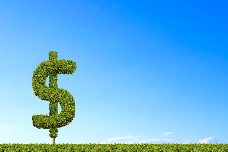 A topiary shaped like a dollar-bill symbol on a green field against a blue sky.