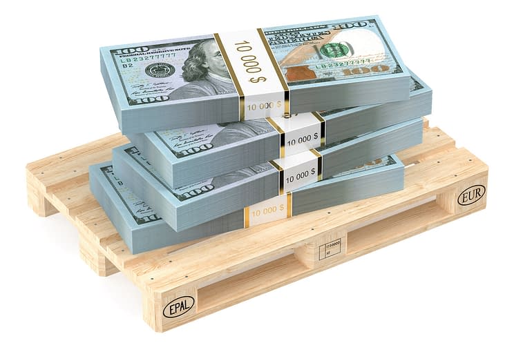 packs of dollars on pallet isolated on white background